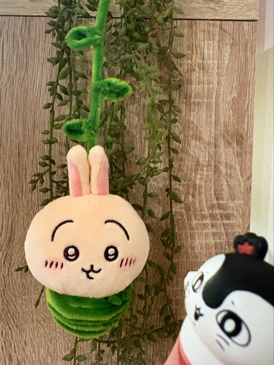 kyuni_chiikawa's tweet photo. ツタ攻撃で動けなくなったﾌﾟﾙﾔ氏を作りました‼️🌿🐰💥🧜‍♀️ https://t.co/Cgcnwhz2O4