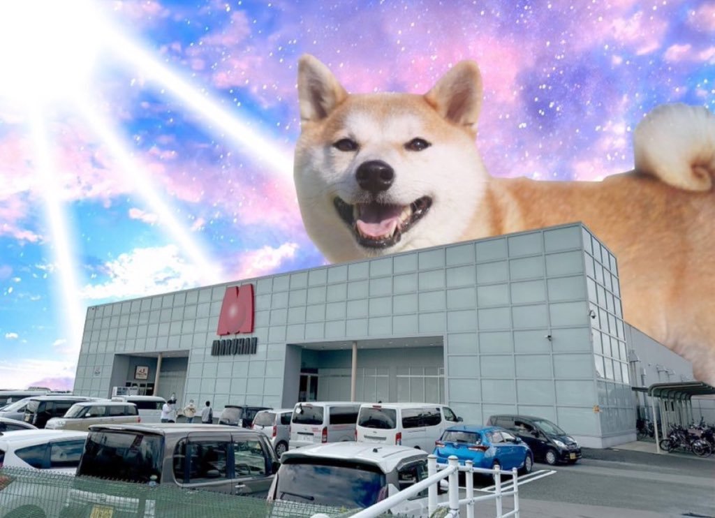 tatarabakeiko's tweet photo. @NOTAMARU1201 取り敢えず開口一番にご趣味は?と伺います..

マルハン東宝は今のご時世では頑張ってる? 不満はありますが文句はありません😭 
こればかりはわいの気持ちの問題なので😭どこかで勝ち取ります︎︎👍
いつもありがとうございます🐯 https://t.co/zsZBD3uo08