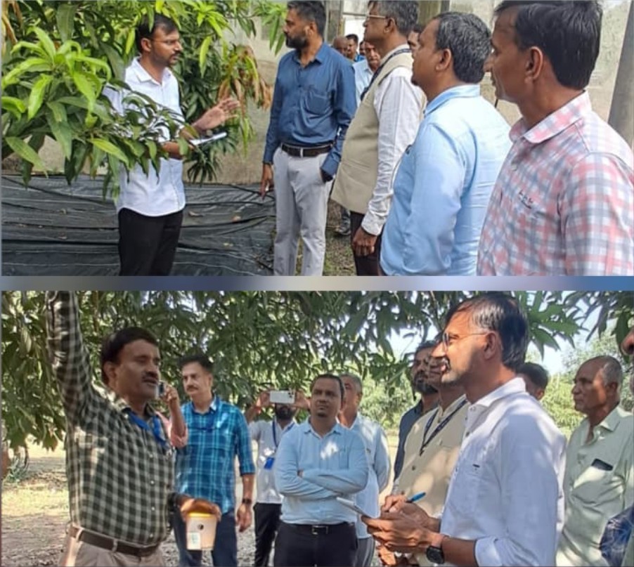airnews_abad's tweet photo. #Gujarat #GirSomnath #Farmers #Agriculture #Guidance
તાલાલા ખાતે વૈજ્ઞાનિક–ખેડૂત સંવાદ યોજાયો
આંબાની આધુનિક ખેતી, ઉત્પાદન વધારવા અને સ્માર્ટ ઓર્ચર્ડ મેનેજમેન્ટ અંગે ખેડૂતોને માર્ગદર્શન આપવામાં આવ્યું
@InfoGirsomnath
#AIRPics : રાજેશ ભજગોતર https://t.co/hTVXNWthax