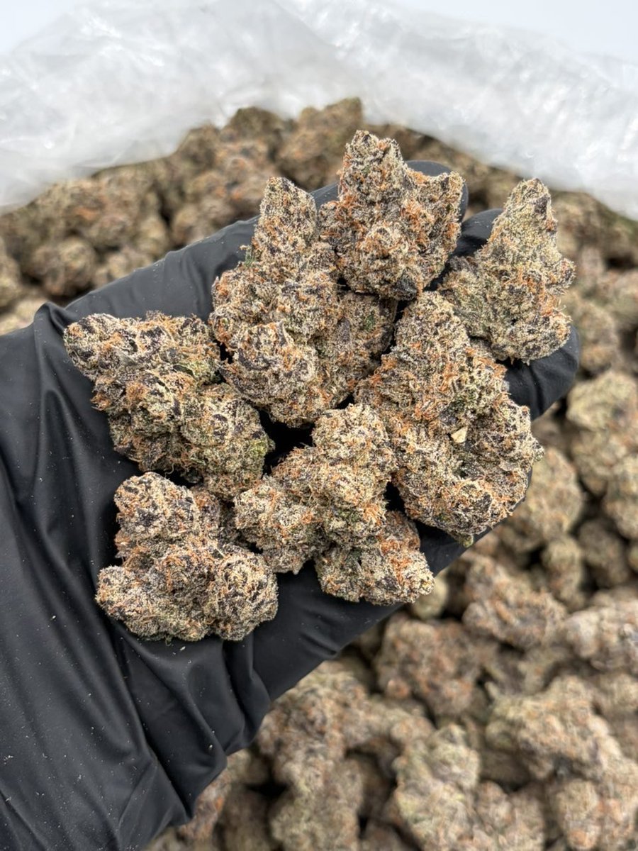 CloudDistrictTX's tweet photo. Blue nerdzz
Your go-to MobilePlug 👑🔥
Tap in for availability 📲
Serving the local area 📍
DM to connect. 
#arlington #dallas #tx #texas #fortworth https://t.co/3BojpaPnat