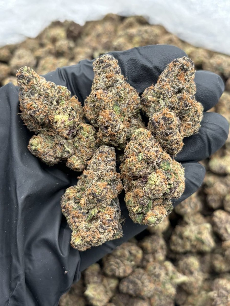 CloudDistrictTX's tweet photo. Blue nerdzz
Your go-to MobilePlug 👑🔥
Tap in for availability 📲
Serving the local area 📍
DM to connect. 
#arlington #dallas #tx #texas #fortworth https://t.co/3BojpaPnat