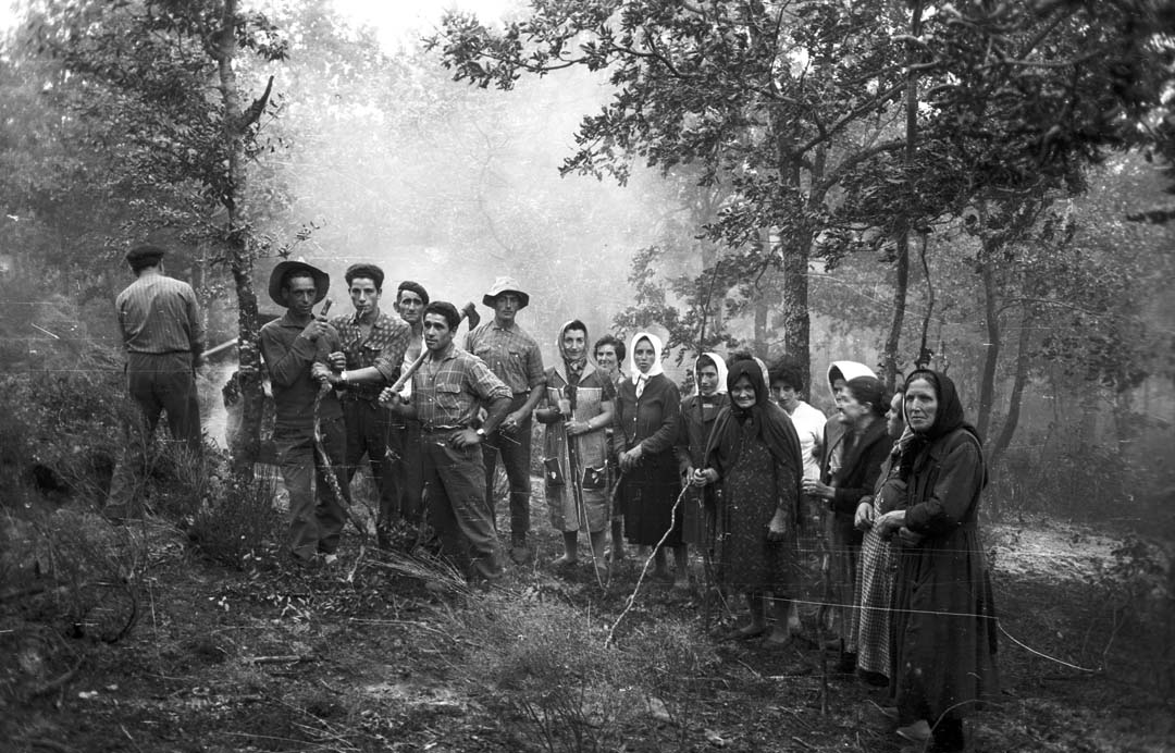 Impres_TVE's tweet photo. El legado de Piedad Isla está compuesto por 130.000 negativos. Las de aquí abajo son cuatro de sus instantáneas más célebres. https://t.co/ZQVvU163dP