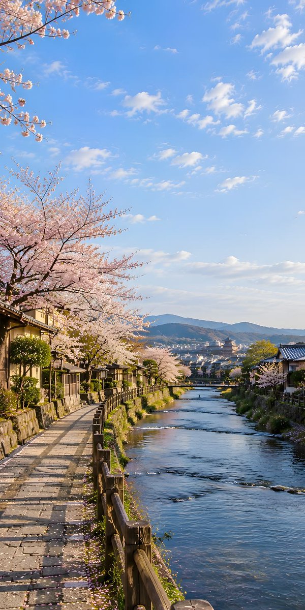BeautifulA71927's tweet photo. Japan 🇯🇵 https://t.co/rKooSp7hDS