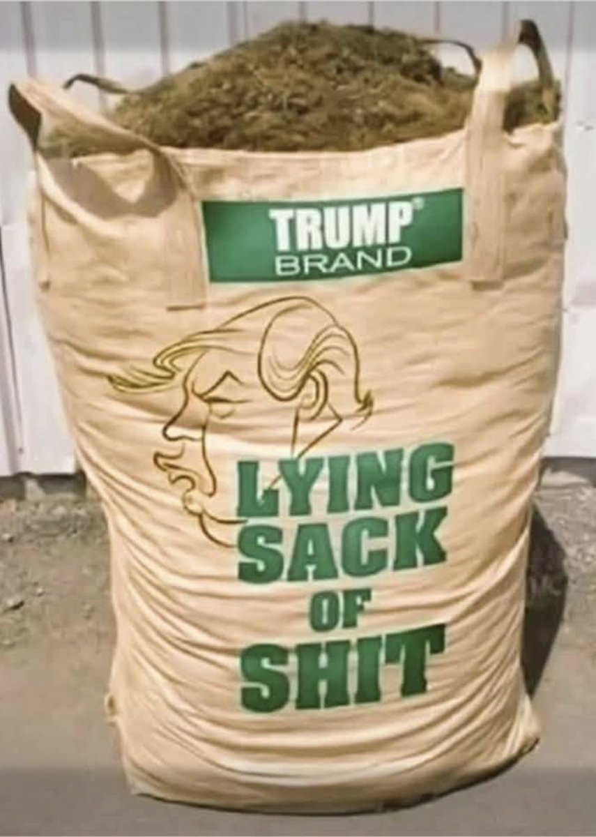 RonaldLarryHaye's tweet photo. @0DonaldTrumpJr1 Lying again. Illegals do not get Social Security. https://t.co/Qz31NYgp2I