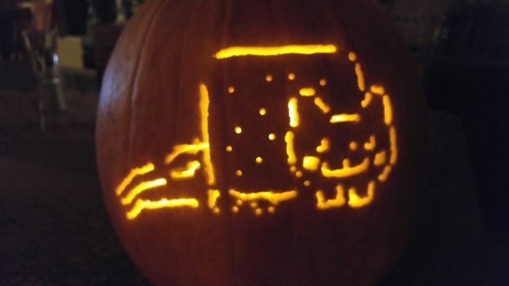 NyanCat's tweet photo. ✨ https://t.co/G10ffRSLJa