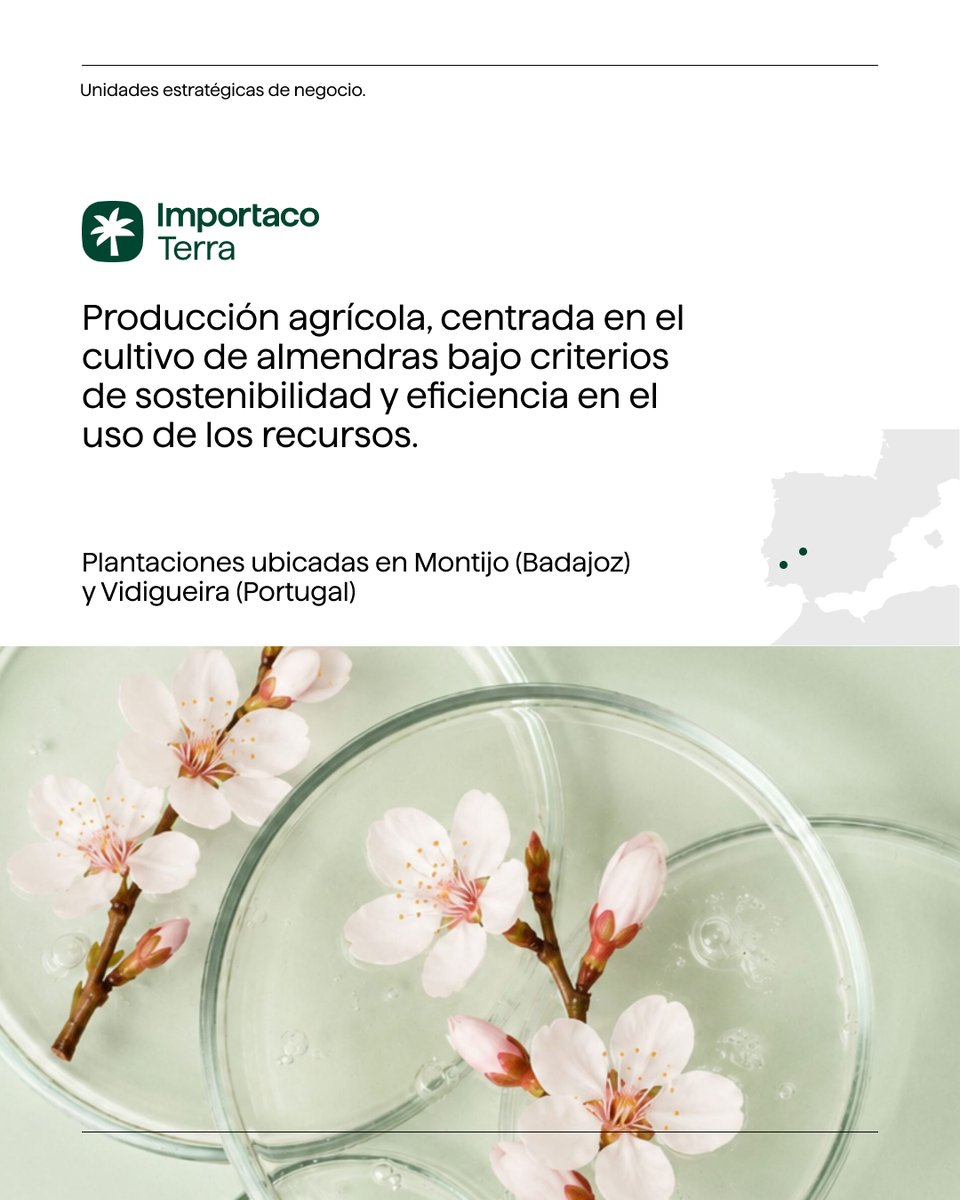 importaco's tweet photo. 🏭 Un modelo de negocio especializado para responder a las necesidades de cada mercado.

En @importaco contamos con tres unidades estratégicas que combinan conocimiento, capacidad industrial y control de la cadena de valor.

Conócelas. 👇

#Importaco https://t.co/gGqNmVNlBS