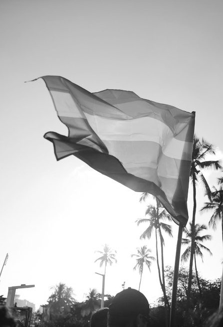 chequeibrasil's tweet photo. 🚨GRAVE: Norte e Nordeste, governados majoritariamente pela esquerda, LIDERAM ranking de violência contra pessoas LGBT no Brasil. https://t.co/LmcaONZ3BW
