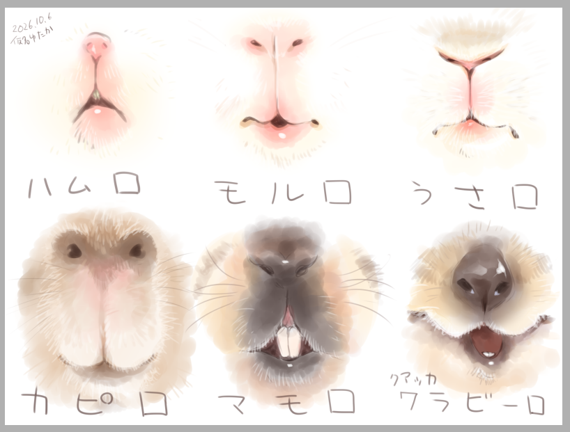 karikankan's tweet photo. 満足した https://t.co/QM9W3KssIL
