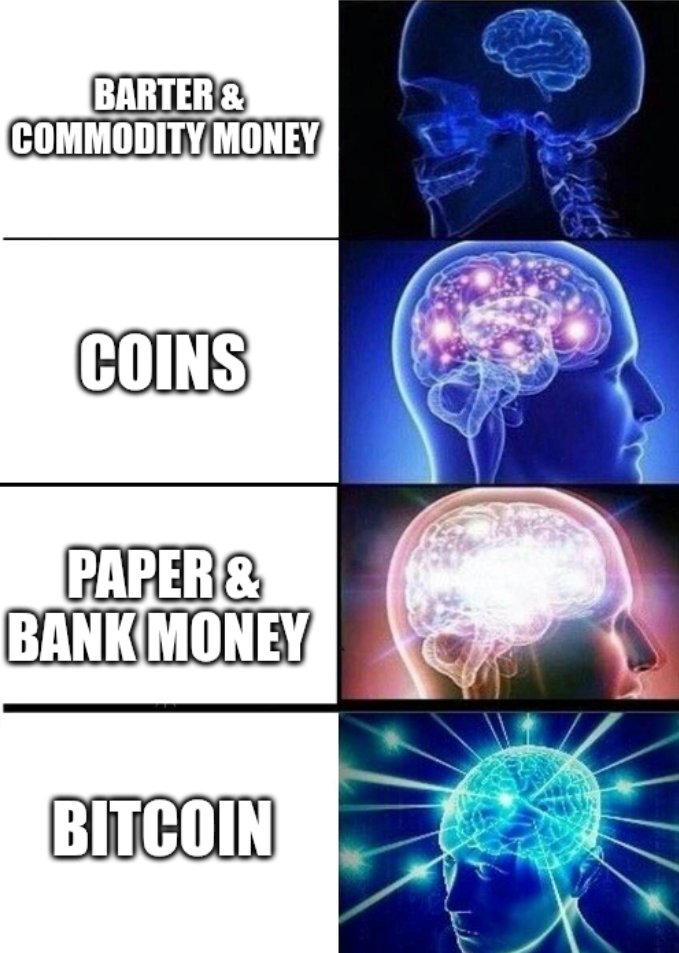Hodlstay tweet picture