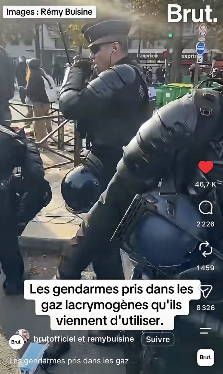 patatedouceroux's tweet photo. des chval qui appellent des chval https://t.co/wJcm1bTfQT