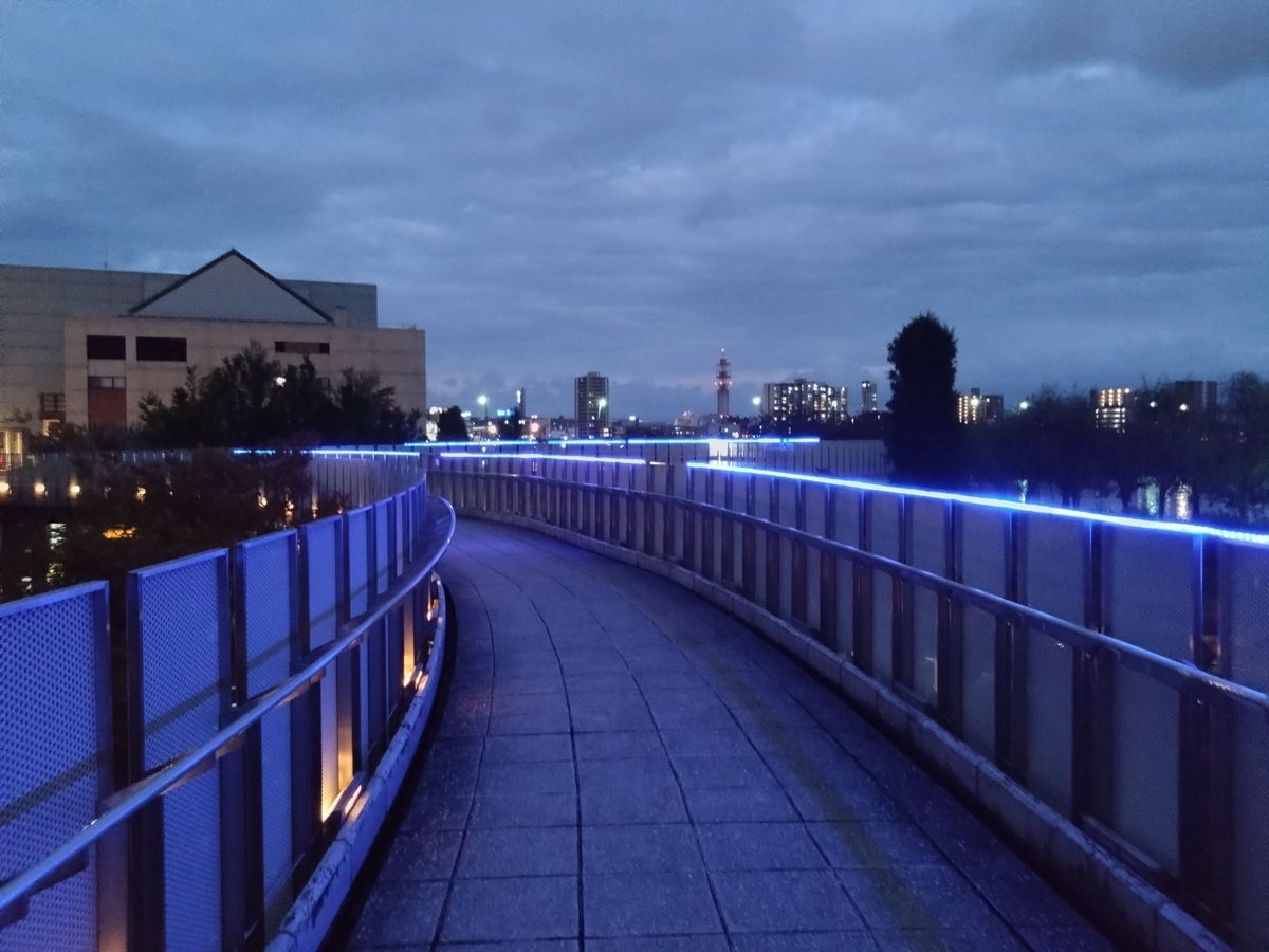 Raimo_X's tweet photo. 晴れてるけど暗くなるの早くなりましたねえ。灯りが無いところはもう少しで真っ暗になるので光る何か仕入れときたいなあ。 https://t.co/OXsmmT5edh