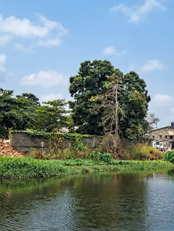 acprdcongo's tweet photo. #RDC : Une enveloppe de 50 millions d’euros a été allouée au programme «Ville durable», par l’Agence française de développement (AFD), pour une période allant de 2025 à 2028, en vue d'accompagner la transformation urbaine de la ville de #Boma, au Kongo central, dans le sud-ouest de la République démocratique du Congo (RDC), selon un document parvenu mardi à l'ACP.

«Doté d’un financement global de 50 millions d’Euros de l’AFD, dont 10 millions d’euros mis en œuvre par Expertise France et 40 millions d’euros par l’Agence nationale d’aménagement du territoire (ANAT), le programme +Ville durable+ se déploie, pour son volet +Expertise France+, sur la période 2025-2028. Son ambition : accompagner Boma dans sa transformation urbaine et contribuer à faire de Boma une expérience susceptible d’inspirer d’autres villes secondaires», a-t-on lu dans le document du Groupe AFD.

« A l’occasion de la Journée mondiale de l’Habitat, les actions menées dans le cadre du programme +Ville durable+ Boma, montrent qu’améliorer les conditions de vie en ville ne consiste pas seulement à construire des infrastructures. Il s’agit aussi de mieux planifier les territoires, renforcer les services publics, anticiper les risques climatiques et donner aux habitants une place dans les décisions qui façonnent leur cadre de vie», a ajouté la source.

Découvrez d'autres informations sur notre site web : https://t.co/tGEWJ2Bgzn