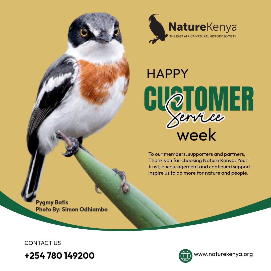 Nature_Kenya's tweet photo. As we mark this year’s Customer Service Week, we would like to thank our members, supporters and partners for their continued support. Your trust, encouragement and commitment inspire us to do more for nature and people. #HappyCustomerServiceWeek2026 #NatureMatters https://t.co/MxyYJJ0xxf