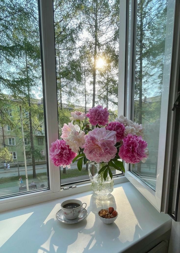 greenvibe's tweet photo. flowers https://t.co/ychhnSXDNJ