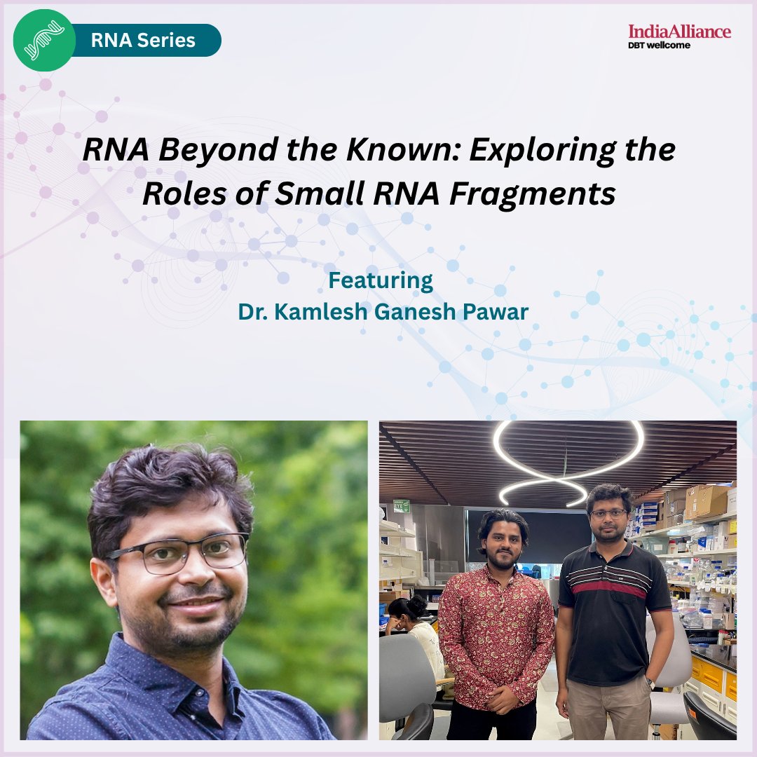 India_Alliance's tweet photo. The second article in our #RNAseries features Dr @KamleshGaneshP1, an IA Early Career Fellow at @BRIC_CDFD, Hyderabad.
His research explores how small RNA fragments regulate cellular responses during infection, inflammation, and environmental stress.
๐: https://t.co/JdTjWHPXJm https://t.co/ianhMclCv6