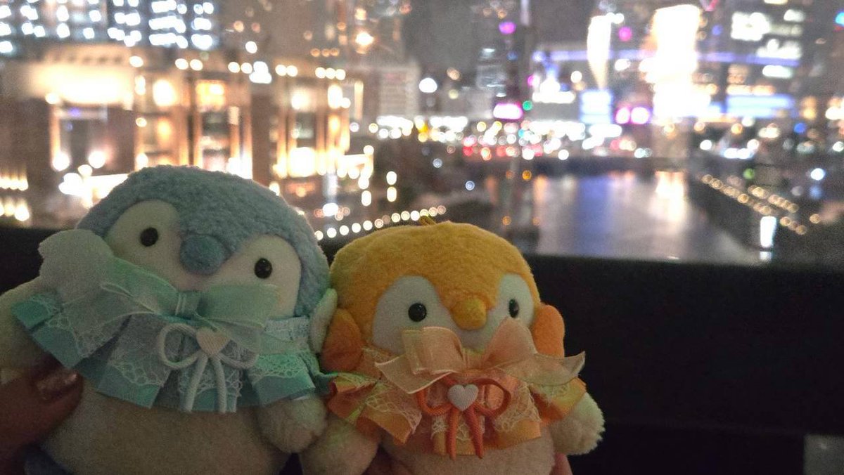 sumikkoupenchan's tweet photo. 先月、プリンくんたちのお供で横浜へお出かけした時のお写真…📸✨
新幹線移動が久しぶりだったので、お気に入りのスゴイカタイアイスも久しぶりでした🍨
美味しそうなお肉にじゅるり…🐧したり、大好きなエアキャビンに乗ったりしました🌟 ̖́-
なんだかいい雰囲気の二人です🤭🩵🧡

#コウペンちゃん https://t.co/JkcwIHiDa1