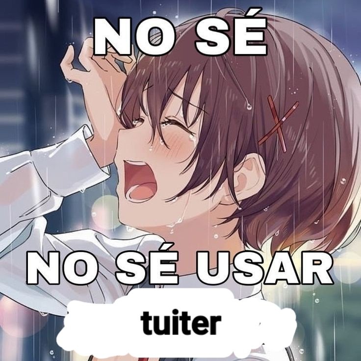coniconiniik's tweet photo. Llamen a la policí.a estoy más perdida que no se, busco mutis o algo así dicen los tuiteros https://t.co/QuUeWBHghB