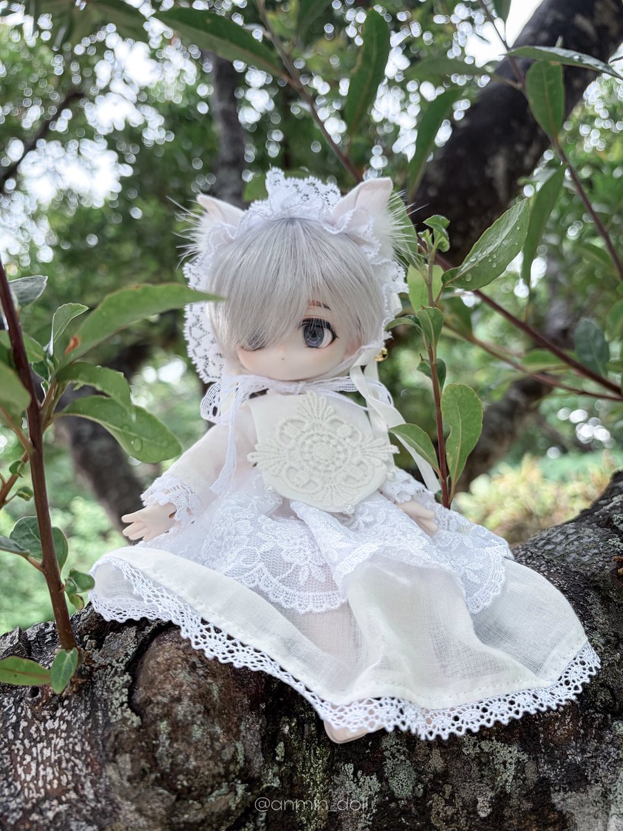anmin_doll's tweet photo. ♡

ひっそりこっそり綺麗なものを愛でたり作ったりしています(〃´𓎟`〃)
基本的に美青年ばっかり作っています👀
カメラも練習中
最近はバニボニちゃんが熱い〜！

#10月になったのでフォロワーさんに自己紹介しようぜ
#ドールオーナーさんと繋がりたい

作っているものだけ見たい方→♡(@xmayohiga) https://t.co/ZKiKpdwsjv