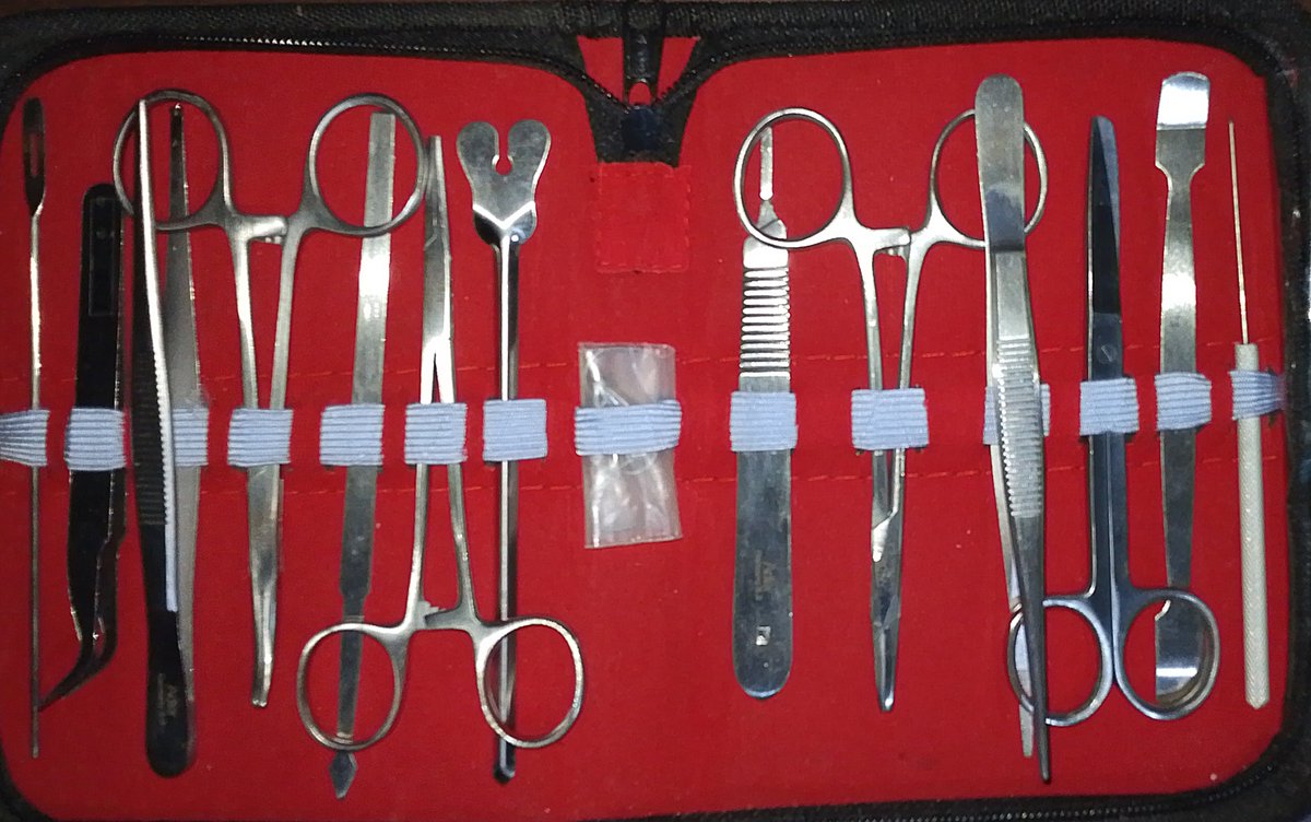 jjakithv's tweet photo. 🚨 14-PIECE DISSECTING TOOLS SET FOR SALE!

Selling my dissecting tools set 14 pcs for only 250!

✨Gently used
✨Still in good condition
✨Perfect for students/lab classes
✨14 pieces included

💰P250 only
📍Location: Taguig

RFS: No longer needed!!!

#ph #sale https://t.co/cBIKuG4TJP