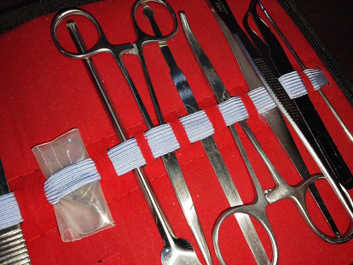 jjakithv's tweet photo. 🚨 14-PIECE DISSECTING TOOLS SET FOR SALE!

Selling my dissecting tools set 14 pcs for only 250!

✨Gently used
✨Still in good condition
✨Perfect for students/lab classes
✨14 pieces included

💰P250 only
📍Location: Taguig

RFS: No longer needed!!!

#ph #sale https://t.co/cBIKuG4TJP