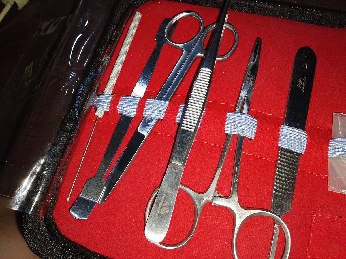 jjakithv's tweet photo. 🚨 14-PIECE DISSECTING TOOLS SET FOR SALE!

Selling my dissecting tools set 14 pcs for only 250!

✨Gently used
✨Still in good condition
✨Perfect for students/lab classes
✨14 pieces included

💰P250 only
📍Location: Taguig

RFS: No longer needed!!!

#ph #sale https://t.co/cBIKuG4TJP