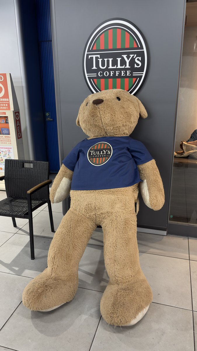 ShiiP003's tweet photo. ヤル気の無いでっかいタリーズコーヒーのクマさん🧸

自分のカメラロールの中ではメガ❣️でした
ꉂ🤣w𐤔

 #NOPE   #Yogibo https://t.co/OBizmYMAkM
