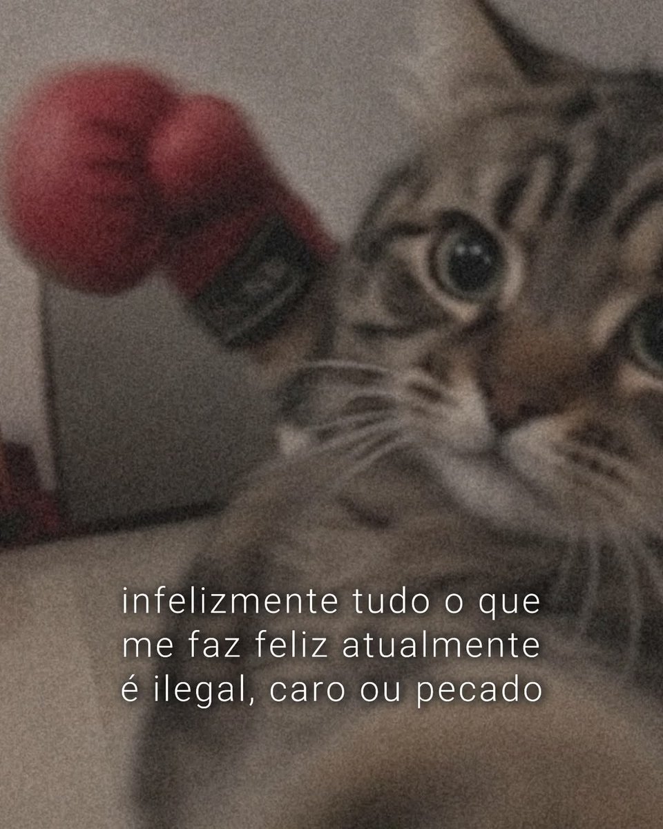 acervobichinho's tweet photo. https://t.co/wVkxOlrNWC