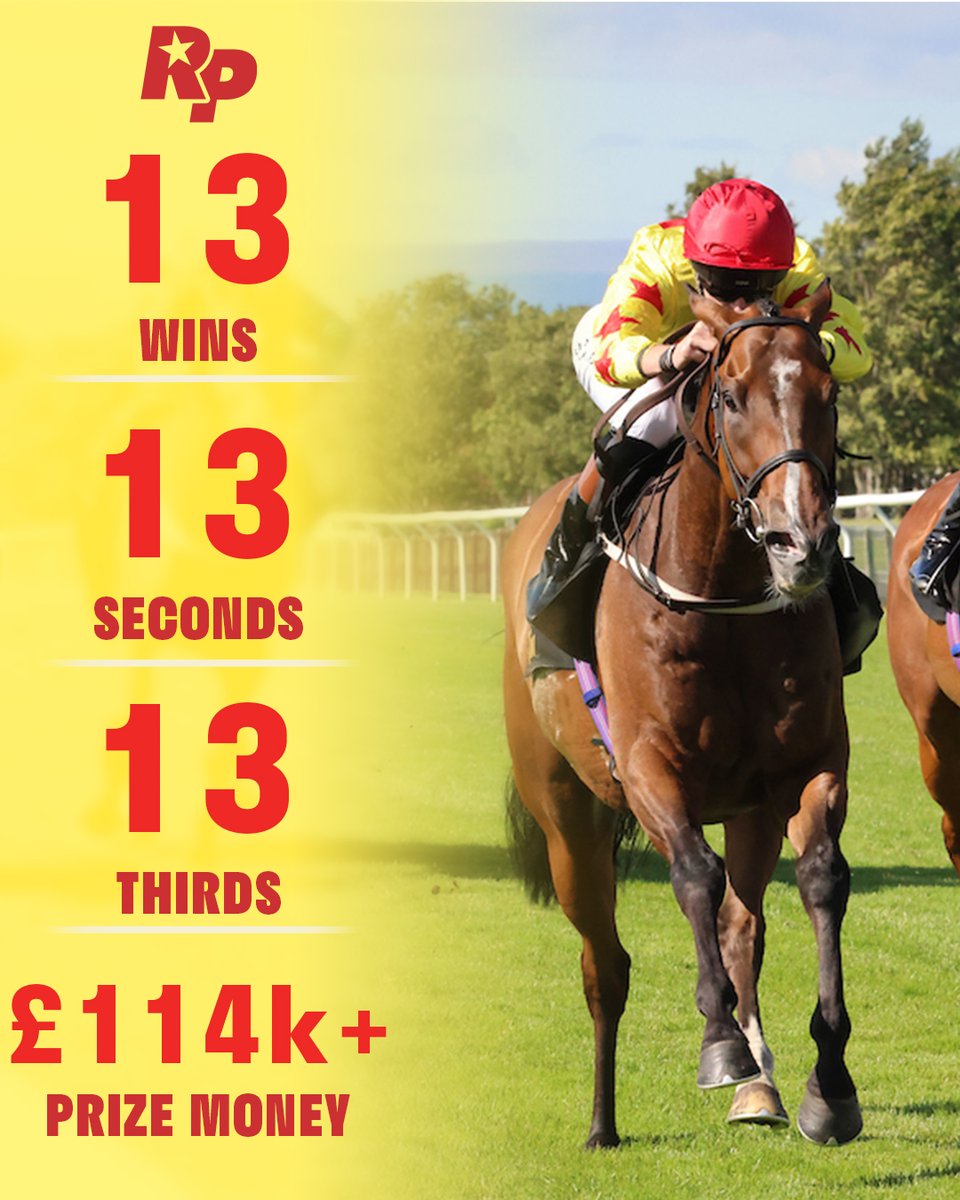 TDE_Syndicates's tweet photo. Happy retirement to a true legend, JEWEL MAKER! 💛❤️

A stalwart of the syndicate over the last 8 years—finding the winner’s enclosure 12 times and placing 25 times. He gave his absolute all every time he stepped out in the yellow &amp; red.

Thank you for the memories Jewely! 👏 https://t.co/GzZA53vjH1