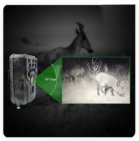 spy_shop_sa's tweet photo. Spy Shop - @spy_shop_sa NEW Outdoor Security Cameras with night vision, motion detection, high definition, ip54, 6 months standby time.
#spyshop #security #cameras https://t.co/AKBXpotViS