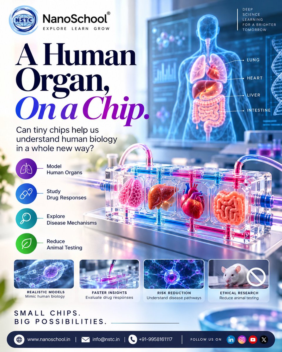 NSTC_2005's tweet photo. Can AI help identify the right treatment for the right patient?

Genomics + biomarkers + clinical data + multi-omics + AI are creating new possibilities for precision medicine.

AI × Biology × Personalized Healthcare

#NanoSchool #PrecisionMedicine #AIinHealthcare #Genomics https://t.co/vrmfc0JWaZ