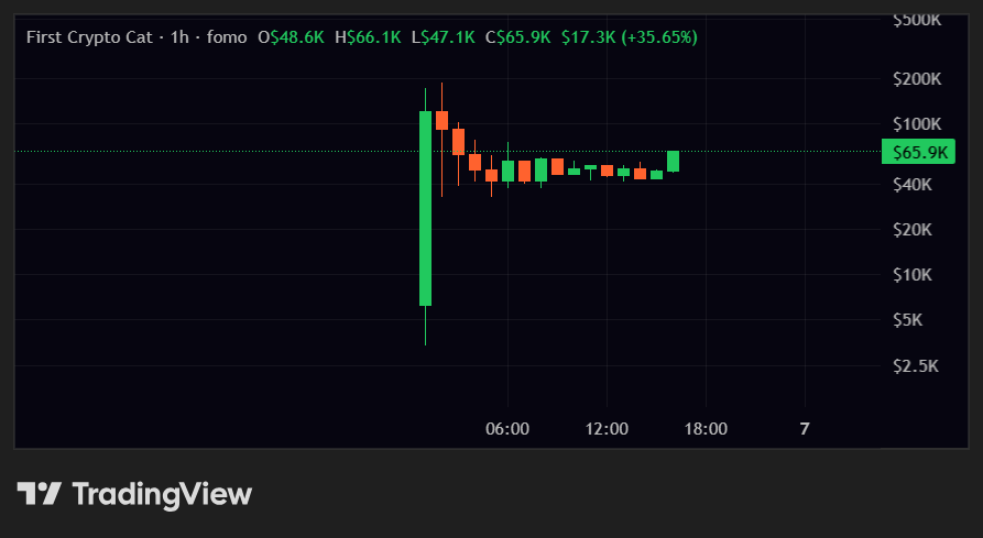 cryptozenoX's tweet photo. As i said..

Chart looked ready to fly...

And it does..!

solana:6HEDwKSR1UpV8dJW7sVjFQoh2UnXKCZZCWi8uZVgpump - First Crypto Cat https://t.co/80TVyU6vfe