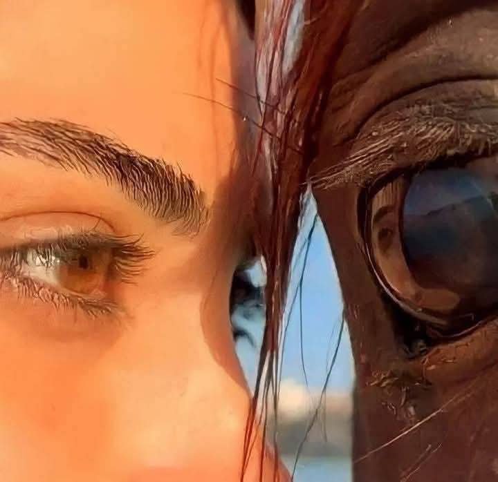 JanRozn's tweet photo. "ما يُميزك ليست ملامحك
ولا اللون العَسلي
في عينيك
ما يُميزك حقًا 
هو شعور الحُب
الذي تمنحه لكل الأشياء حولك." https://t.co/k37jnPFlw5