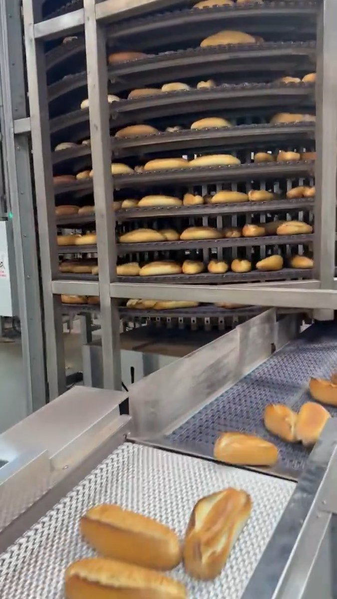 An industrial bakery production line with freshly baked buns moving along a conveyor belt beneath a multi-tiered cooling rack filled with rows of bread rolls.