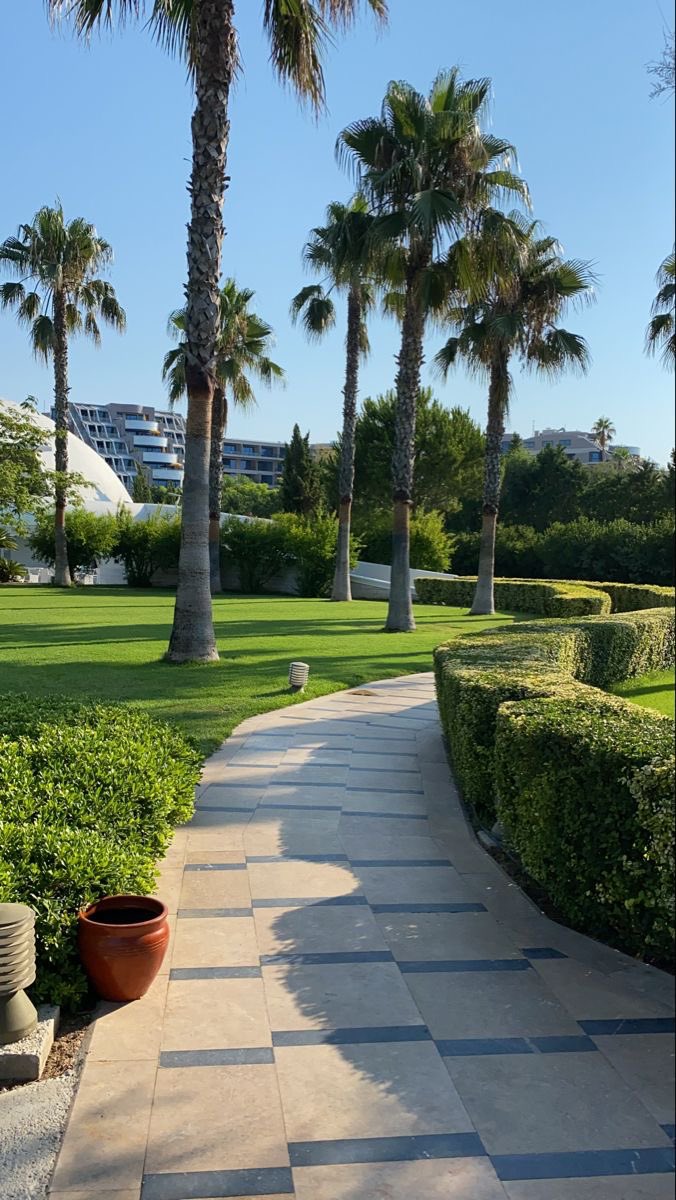 shavnyuyngah's tweet photo. A beautiful environment is not luck. It takes professionals and most of us don't know the job exists.

Landscapers know which plants survive where, which trees give shade, and how to make a compound feel alive.

Meanwhile our children want to be virtual assistants and tech bros.

Imagine hiring a good gardener on a monthly plan, like any other service. That is a real career, and we need it.

Who is training them?