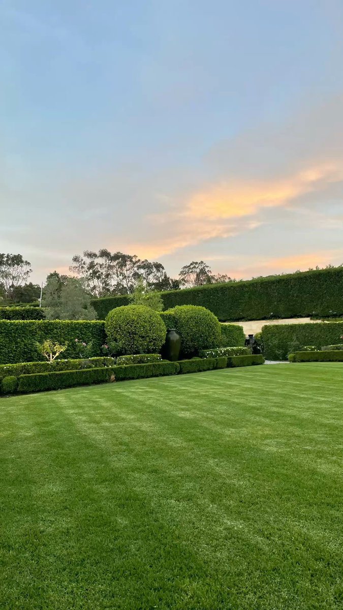 shavnyuyngah's tweet photo. A beautiful environment is not luck. It takes professionals and most of us don't know the job exists.

Landscapers know which plants survive where, which trees give shade, and how to make a compound feel alive.

Meanwhile our children want to be virtual assistants and tech bros.

Imagine hiring a good gardener on a monthly plan, like any other service. That is a real career, and we need it.

Who is training them?