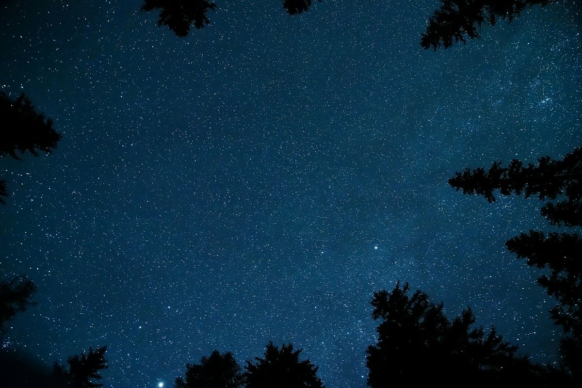 ReligiousRC's tweet photo. Looking up at the night sky has inspired wonder, worship, science and pilgrimage for thousands of years. This stargazing season use the stars to spark awe, spirituality and the #BigQuestions pupils love to ask
#NERLRC #ReligiousEducation #REMatters https://t.co/eBHuKk7BD1