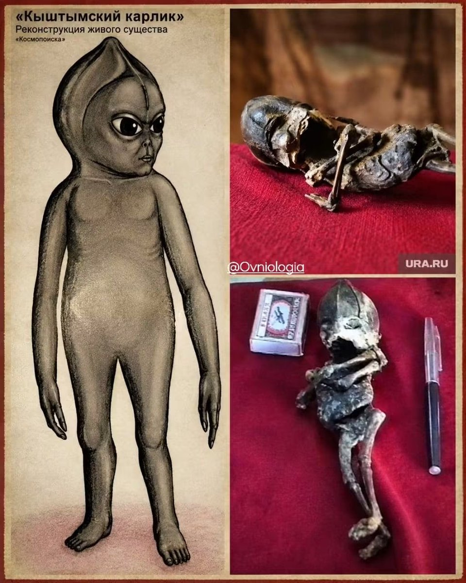 Ovniologia01's tweet photo. “Alióchenka”, o chamado “Anão de Kyshtym”, uma pequena criatura humanoide que teria sido encontrada viva em uma vila na Rússia em 1996. https://t.co/dWN135bLrx