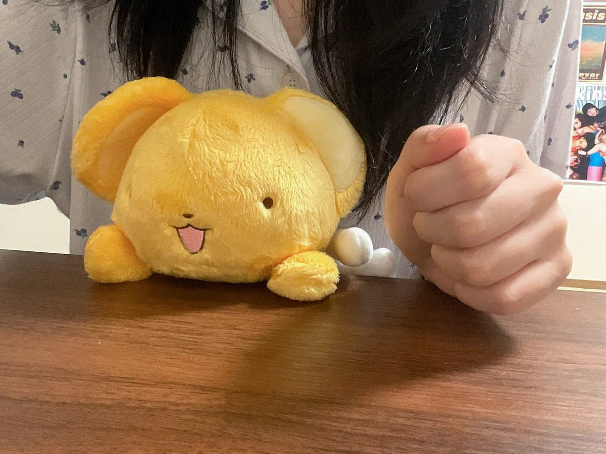 systemtokyo_'s tweet photo. 훈바루즈 샀음..
훈바루즈가 뭐냐면 자세교정 인형인데 공부하거나 업무할때 배랑 책상 사이에 끼워놓고 하면 허리가 펴짐!! 저는 케로쨩 샀는데 햄토리 치이카와 산리오 글루미베어 스누피 등 다양해요♡ 저는 일본 아마존에서 삼 https://t.co/wCi8muwvE6