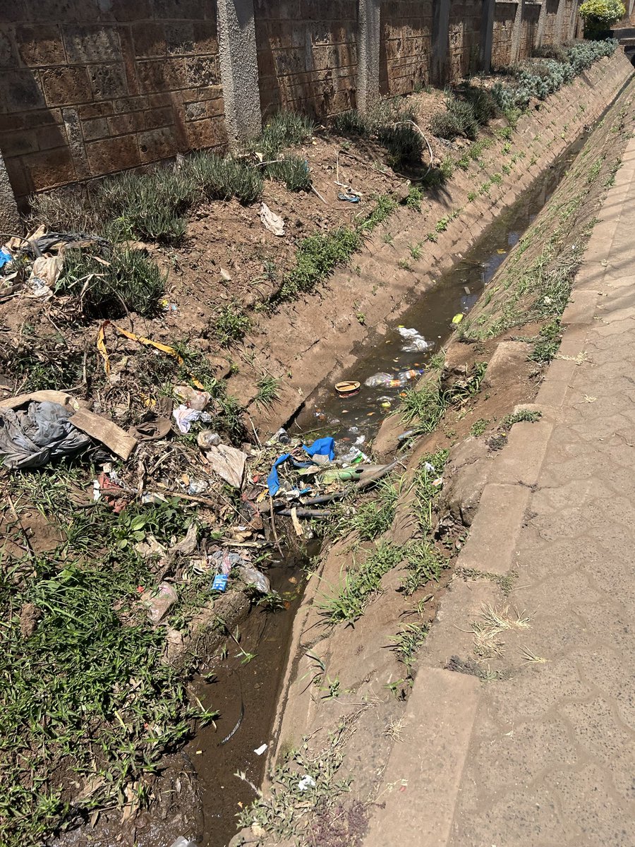 ParasBhundia's tweet photo. @parklandspamoja @coldtusker @mariakemmy @KURAroads @davis_chirchir @Roads_KE Open drainages in the 21st century is the most retarded thing I have come across. @KURAroads Which banana ass universities did your engineers study at? 🤡 You go benchmark in New York/ Singapore and deliver Mogadishu? 💀 https://t.co/u4iv47pPaw