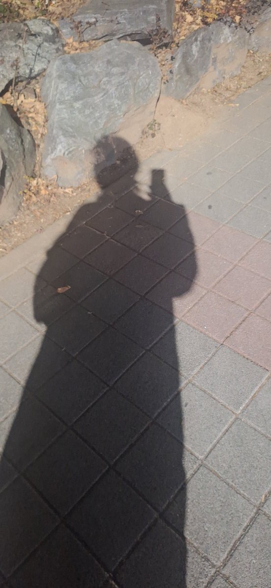 Carrotgod33's tweet photo. 아아 과몰입의 시즌인가.

과몰입 구합

본인 스펙 :
성별 : 남
키 : 167.5
11자 복근있슴다
젊고 탱탱 팔팔
약간 허스키한 미성 보유중
노래하고 기타잘치고
예체능 사랑함다
매일 연락해주고
애정표현 마니해줌다
멘헤라 잘 받아줄수이떠요
다크소울 조아해여
가모립 구해여

줴줴이야ㅋ

#VRChat https://t.co/jPI6TEUWim