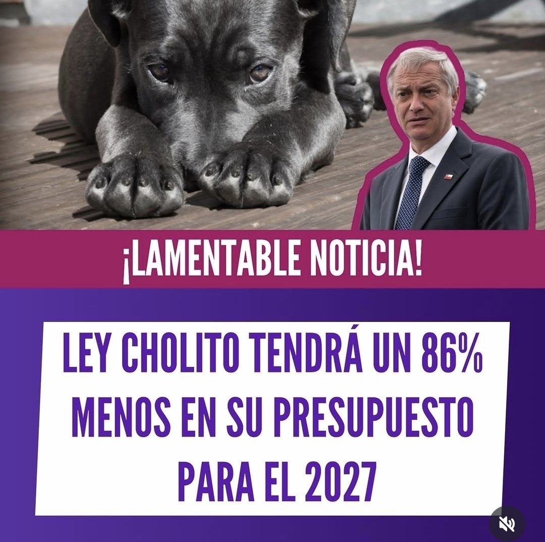 Ahanubis's tweet photo. José Kast, el único que votó en contra la Ley Cholito, te lo viene a recordar con un recorte del 86% en su presupuesto.
#GobiernoDelEngaño https://t.co/imuizO6U3Z