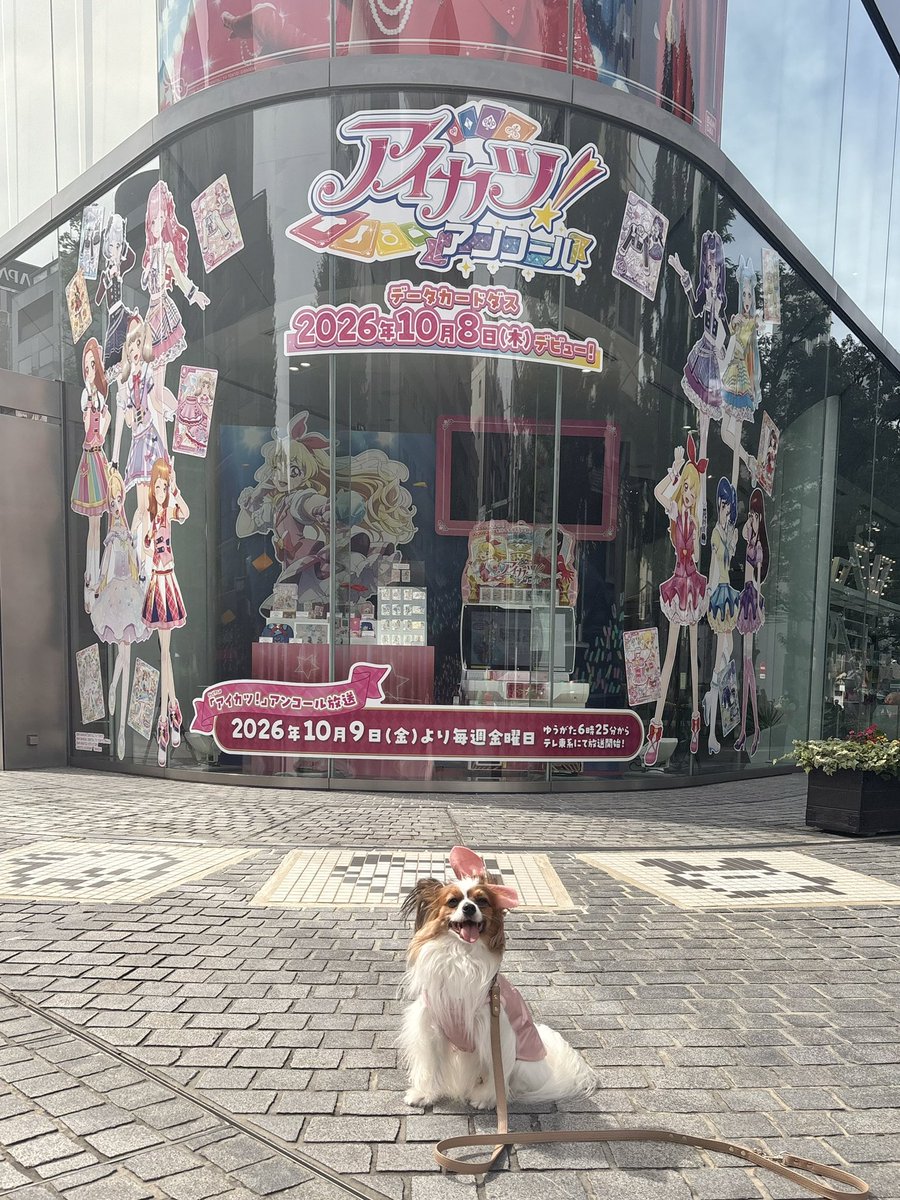 risukosasakama's tweet photo. グラちのアツいアイドル活動、アイカツ！ https://t.co/GBinnwmQ49