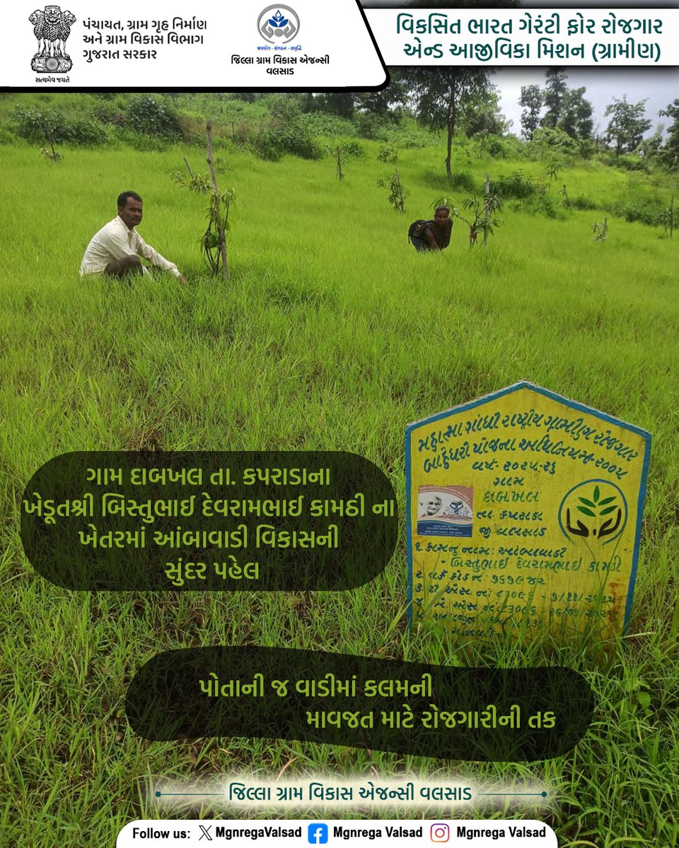 MgnregaValsad's tweet photo. ગામ દાબખલના ખેડૂત શ્રી બિસ્તુભાઈના ખેતરમાં આંબાવાડી વિકાસની સુંદર પહેલ #VBGRAMG #ViksitBharat_GRAMG #GRAMG #CRD_GUJARAT #125daysGuarantee_G_RAM_G #125_RozgarKiNayiGuarantee #ViksitBharat_G_RAM_G #MoRD #RuralEmployment #ddovalsad #collector_valsad #cmogujarat #crdgujarat1 https://t.co/a2zBp1zSY9
