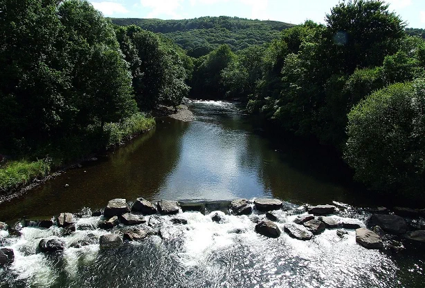 The river Tawe between trees in Glais