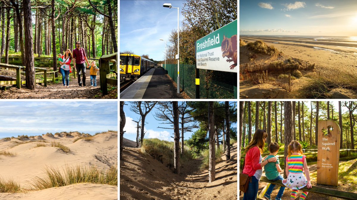 DestinationLCR's tweet photo. Where the forest meets the sea 🌲🌊

Discover Formby's peaceful pinewoods, sandy beaches and dune landscapes in our latest 'Breath of Fresh Air' guide. Perfect for an autumn walk, wildlife spotting or simply enjoying some fresh coastal air.

Read more➡️
https://t.co/cseWqOeC6R https://t.co/LKRh0tGDBs