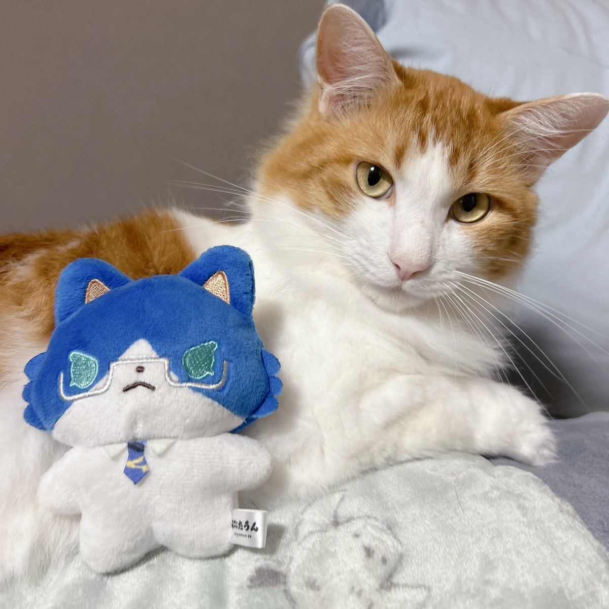 Mokasyannn's tweet photo. じろべぇとゔぃんたうん模様おそろっちかも https://t.co/WVaLnDKrfF