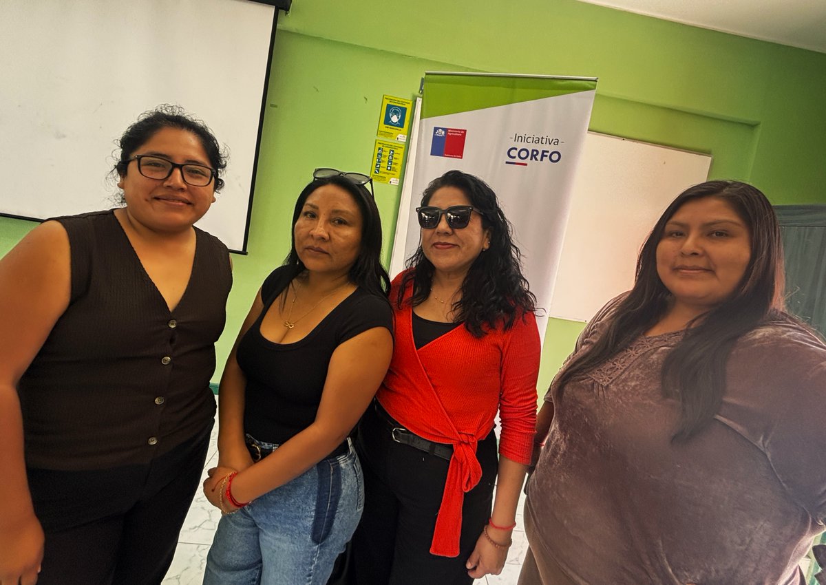 CorfoArica's tweet photo. #Arica Las ariqueñas Gabriela Mamani, Iva Mamani, Elsa Solís y María Cristina Gómez son algunas de las profesionales ariqueñas que aportan en la producción de hortalizas en los valles costeros de #aricayparinacota #PTIHortalizas

▶️Revisa nota completa en https://t.co/Jzw2r0XM5E https://t.co/zHre2WKIpX