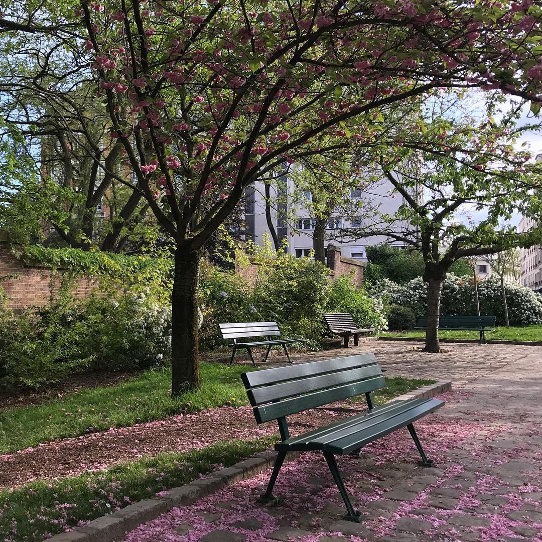 Angelinauee's tweet photo. 🌳🌳 https://t.co/qEaC99qn0H