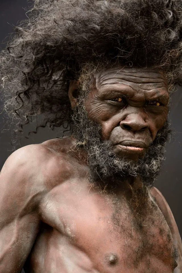 historyinmemes's tweet photo. This lifelike reconstruction from Denmark’s Moesgaard Museum shows what an early Homo sapiens living roughly 160,000 years ago may have looked like. Around this period, humans in Africa already had essentially modern bodies and brains, with fossils from Herto, Ethiopia, providing some of the best-known evidence from the era. They survived as hunter-gatherers, making stone tools, cooperating socially, and developing an intimate understanding of their environment.

The figure isn’t meant to be an exact portrait—details like the hair, beard, and expression involve artistic interpretation—but its anatomy is informed by fossil and anthropological evidence. These people were not the stereotypical primitive “cavemen,” but members of our own species. Today, even older Homo sapiens fossils are known, so the reconstruction is better understood as a glimpse of one of our species’ early African populations rather than the appearance of the very first modern human.