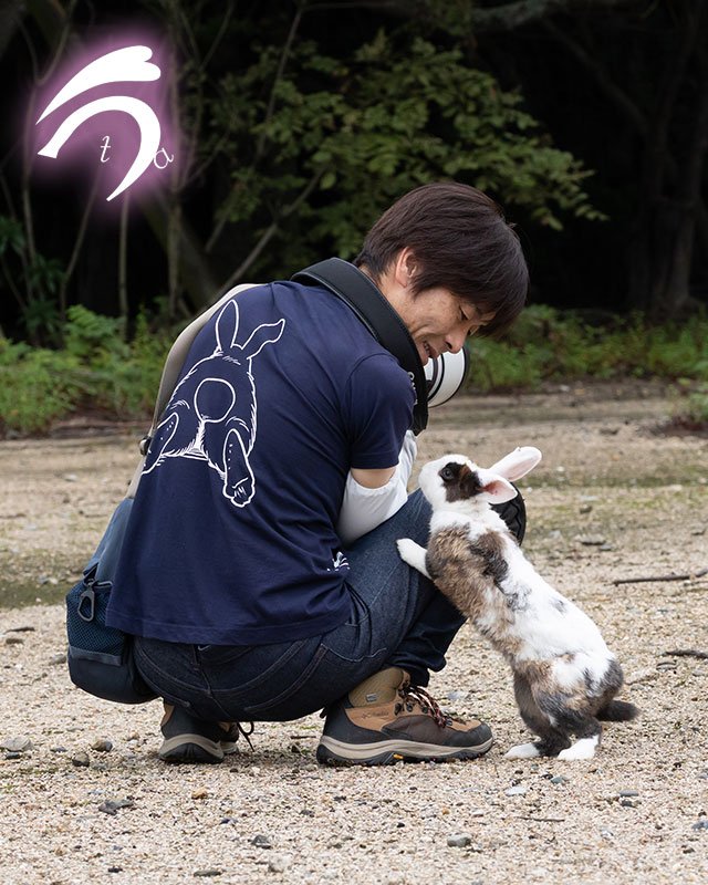 utajima's tweet photo. うさぎさんに話しかけられたら、お仕事の手が止まっちゃいますよね😊

うさぎさんとの時間は宝物ですから✨ https://t.co/c9UA1E4BnY